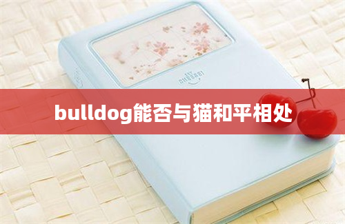 bulldog能否与猫和平相处