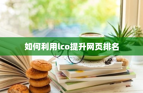 如何利用lco提升网页排名