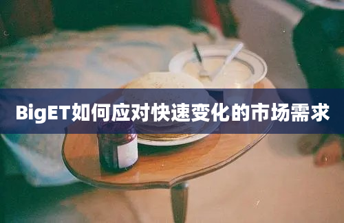 BigET如何应对快速变化的市场需求