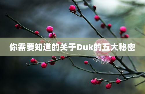 你需要知道的关于Duk的五大秘密