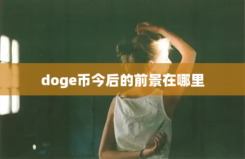 doge币今后的前景在哪里