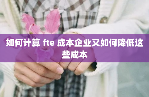 如何计算 fte 成本企业又如何降低这些成本