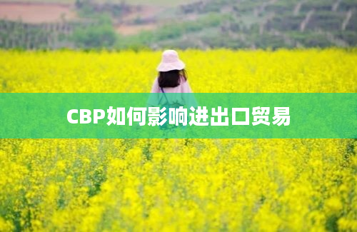 CBP如何影响进出口贸易