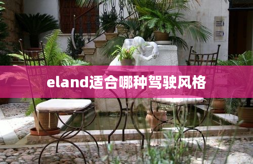 eland适合哪种驾驶风格