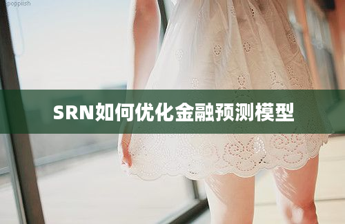 SRN如何优化金融预测模型