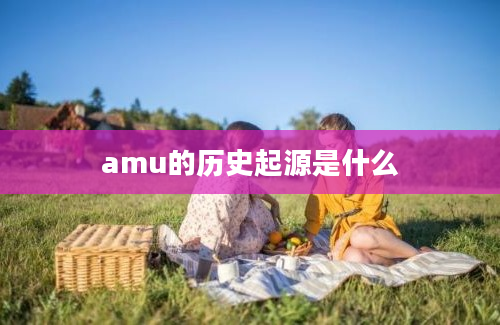 amu的历史起源是什么