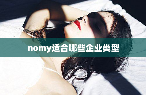 nomy适合哪些企业类型