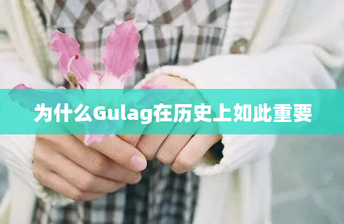 为什么Gulag在历史上如此重要