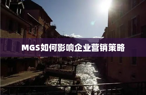 MGS如何影响企业营销策略