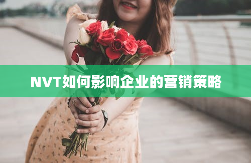 NVT如何影响企业的营销策略