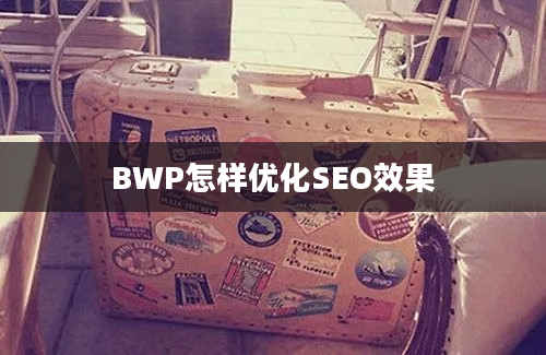 BWP怎样优化SEO效果