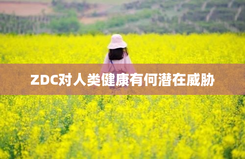 ZDC对人类健康有何潜在威胁