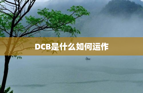 DCB是什么如何运作