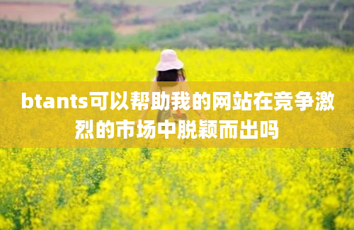 btants可以帮助我的网站在竞争激烈的市场中脱颖而出吗