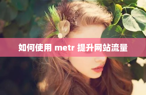 如何使用 metr 提升网站流量