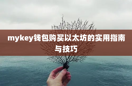 mykey钱包购买以太坊的实用指南与技巧