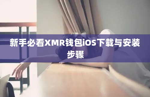 新手必看XMR钱包iOS下载与安装步骤