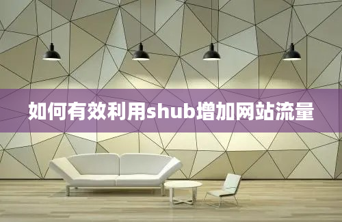 如何有效利用shub增加网站流量