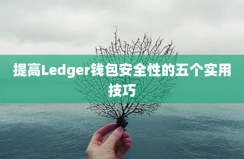 提高Ledger钱包安全性的五个实用技巧