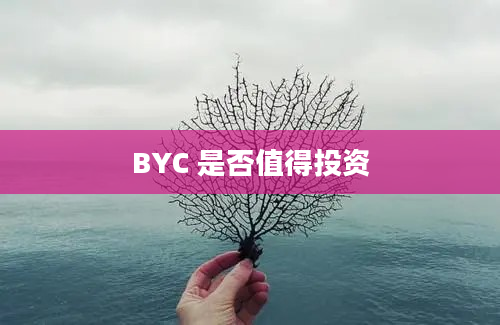 BYC 是否值得投资