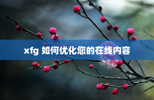 xfg 如何优化您的在线内容