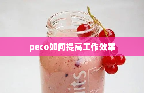 peco如何提高工作效率