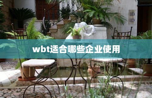 wbt适合哪些企业使用