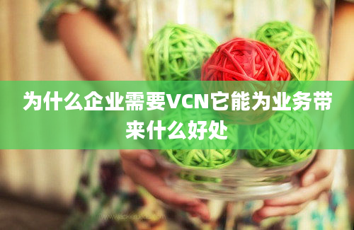 为什么企业需要VCN它能为业务带来什么好处