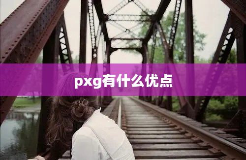 pxg有什么优点