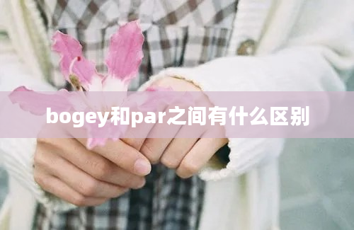 bogey和par之间有什么区别