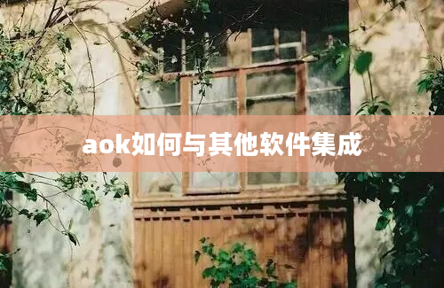 aok如何与其他软件集成