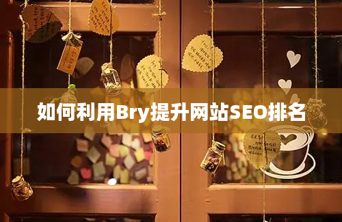 如何利用Bry提升网站SEO排名