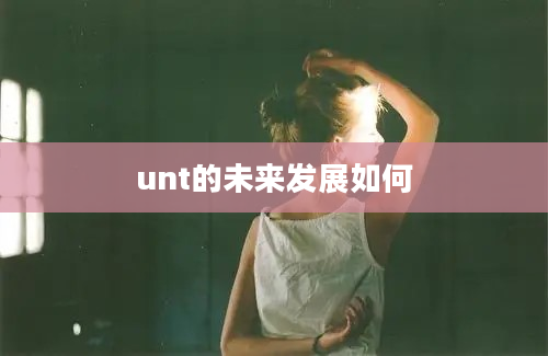 unt的未来发展如何