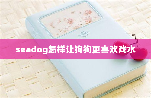 seadog怎样让狗狗更喜欢戏水