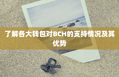 了解各大钱包对BCH的支持情况及其优势