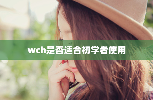 wch是否适合初学者使用