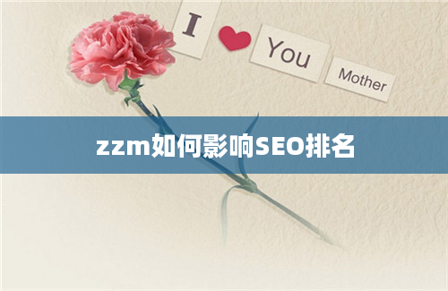 zzm如何影响SEO排名