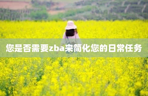 您是否需要zba来简化您的日常任务