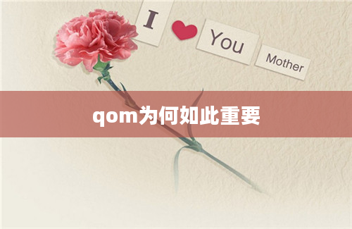 qom为何如此重要