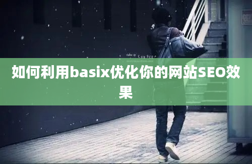 如何利用basix优化你的网站SEO效果