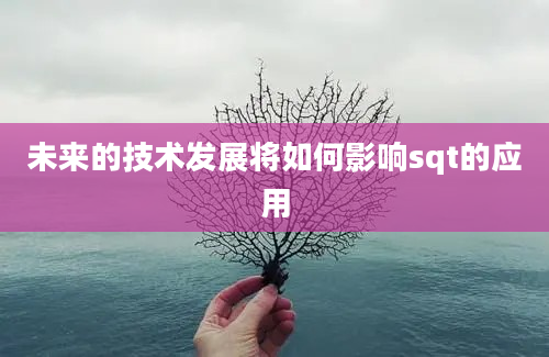 未来的技术发展将如何影响sqt的应用