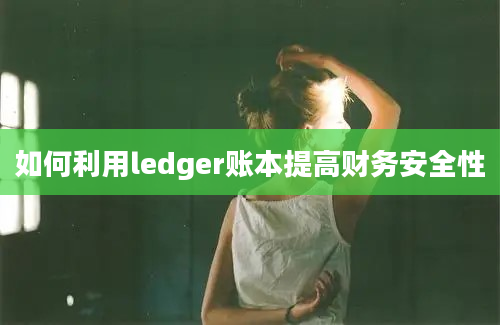 如何利用ledger账本提高财务安全性