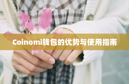 Coinomi钱包的优势与使用指南