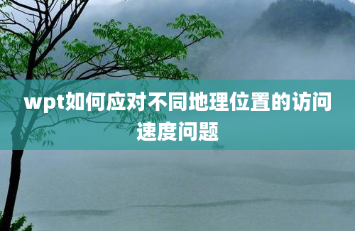 wpt如何应对不同地理位置的访问速度问题