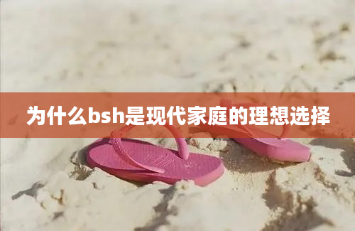 为什么bsh是现代家庭的理想选择