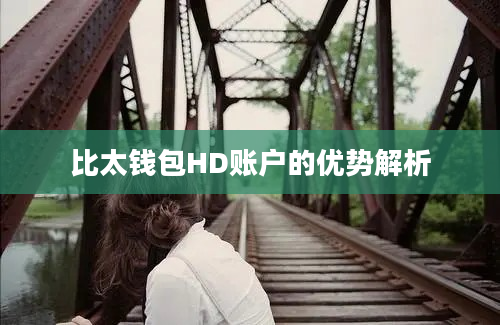 比太钱包HD账户的优势解析