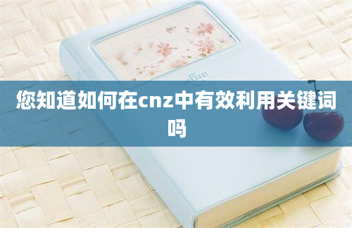 您知道如何在cnz中有效利用关键词吗