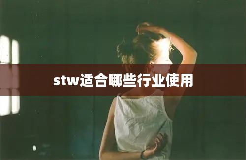 stw适合哪些行业使用