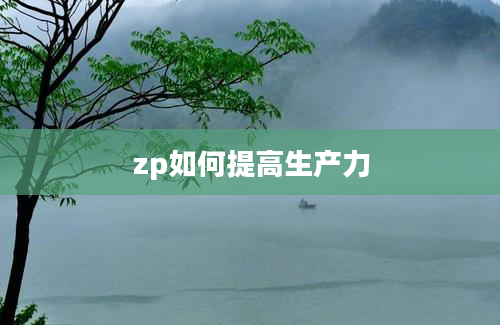 zp如何提高生产力