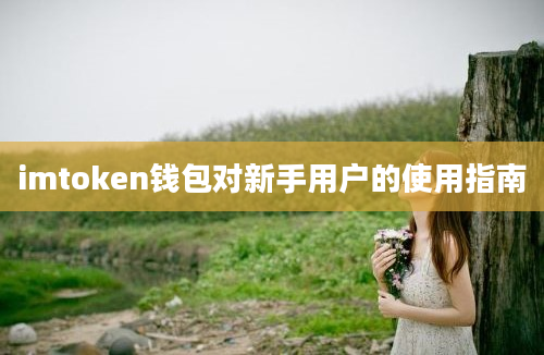 imtoken钱包对新手用户的使用指南